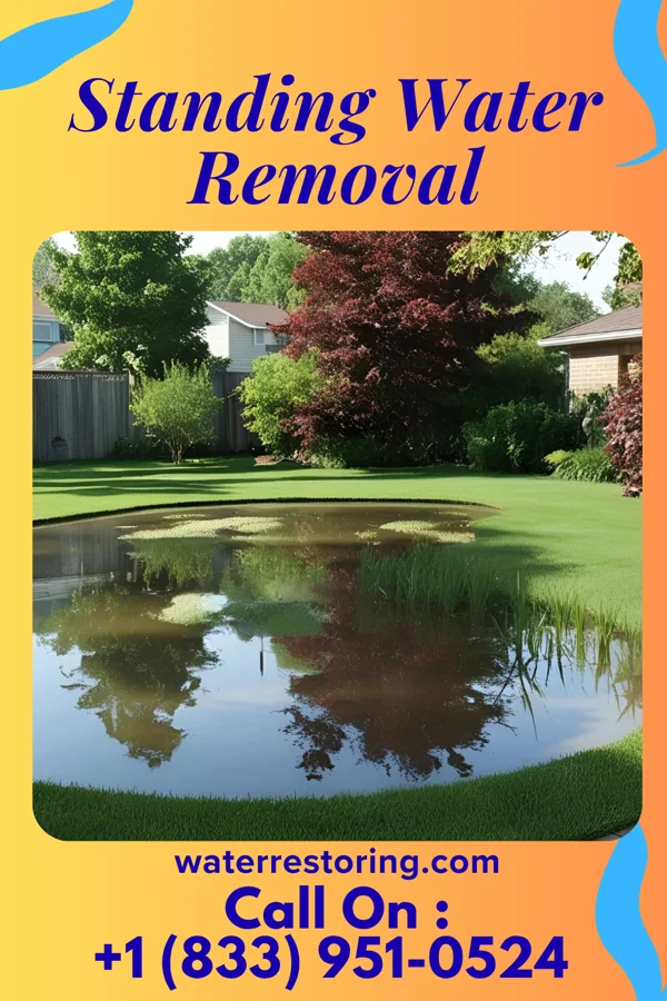Standing Water Removal in Stiles, PA